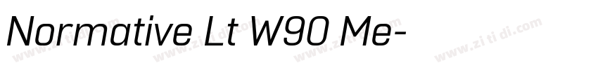 Normative Lt W90 Me字体转换